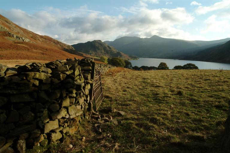 Stone wall down open fell towards a lake, autumnal colours. 