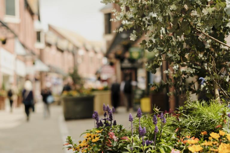 Photo of Barrow Town Centre featuring a close up of a plant.